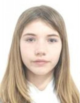 A plecat de acasă spunând că nu suportă situaţia tensionată. Aţi văzut-o?